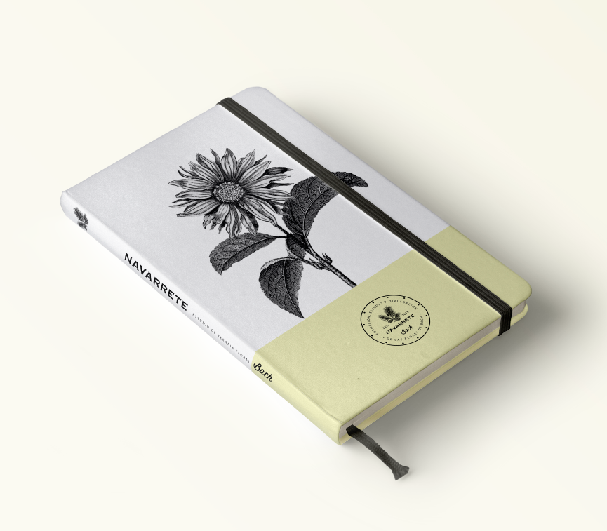 Cristina Navarrete, Identity, Catalogue, Editorial