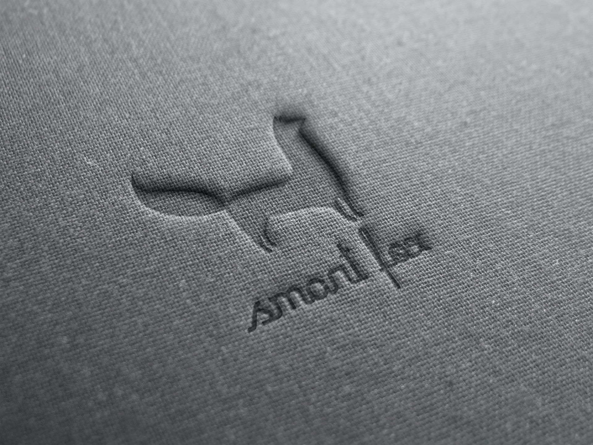 Smartfox, Logo Design, Branding, Art Direction